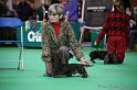 Crufts2011_2 729